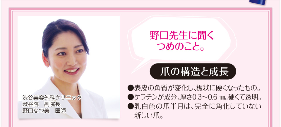野口先生に聞くつめのこと。爪の構造と成長●表皮の角質が変化し、
        板状に硬くなったもの。●ケラチンが成分、厚さ0.3～0.6mm。硬くて透明。●乳白色の爪半月は、完全に角化していない新しい爪。