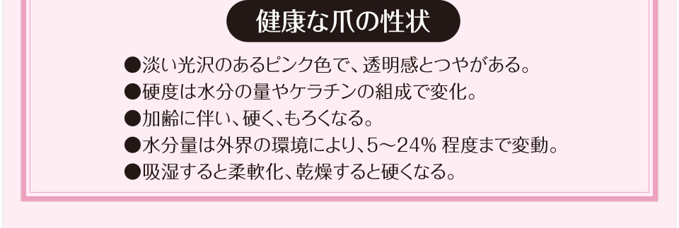 健康な爪の性状●淡い光沢のあるピンク色で、透明感とつやがある。●硬度は水分の量やケラチンの組成で変化。●加齢に伴い、硬く、もろくなる。●水分量は外界の環境により、5～24％程度まで変動。●吸湿すると柔軟化、乾燥すると硬くなる。